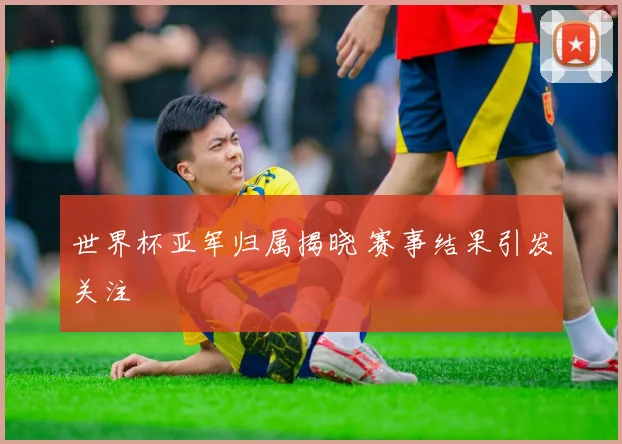 世界杯亚军归属揭晓 赛事结果引发关注