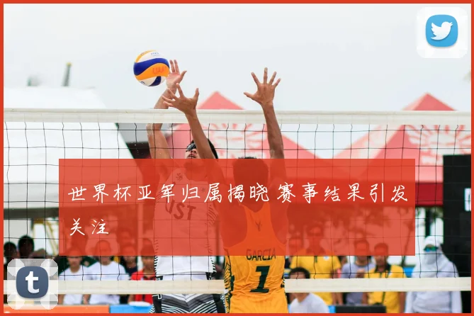 世界杯亚军归属揭晓 赛事结果引发关注